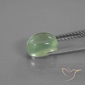 Prehnite Gemstone in 7.9 x 6.3 mm Size for Sale, Prehnite Stone in Yellowish Green Color
