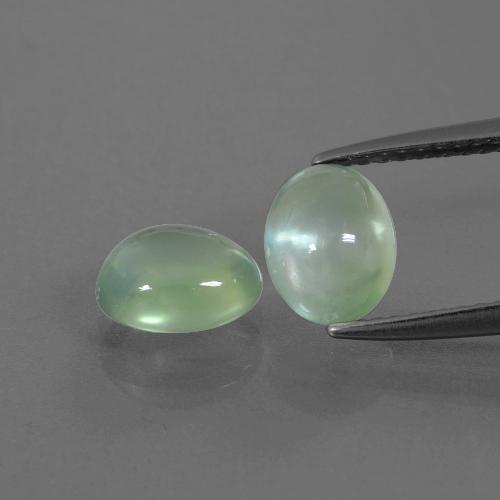 Coppia abbinata di 7,6 x 5,9mm taglio ovale Verde Prehnite , peso di 2,57 ct totali / media. 1,29 ct ciascuno, coppia Prehnite abbinata in purezza Transparent in colore Verde chiaro, pietra preziosa naturale non trattati, durezza Mohs 6 - 6,5, Photo A