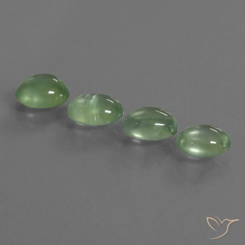 Лот из 4 Овал Зеленый Пренит из Южная Африка - размер 8,2 x 6,1 mm, общий вес 5,77 ct / ср. 1,44 ct каждый, цвет: Светло-желтый зеленый, твердость по Моосу 6 - 6,5, Photo A