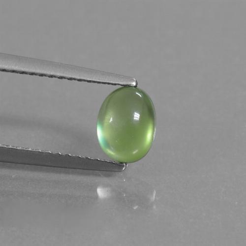Lime Green Prehnite Gem - 1ct Oval Cabochon (ID: 450111)