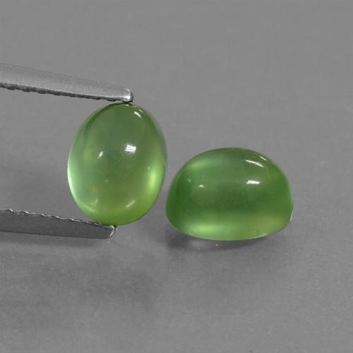 Lively Green Prehnite Gem - 1.3ct Oval Cabochon (ID: 450174)