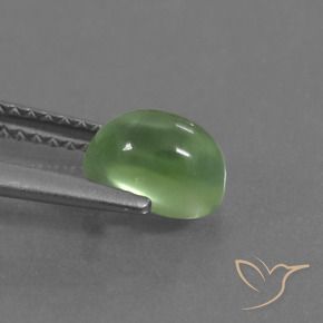 Prehnite Gemstone in 7.1 x 5.4 mm Size for Sale, Prehnite Stone in Medium-Light Green Color