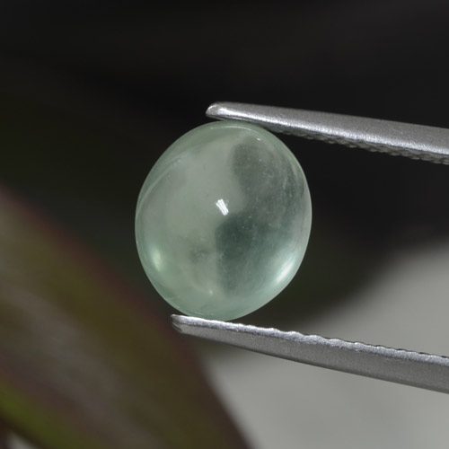 Light Green Prehnite Gem - 2.1ct Oval Cabochon (ID: 458947)