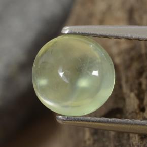 1.29 ct Green Prehnite Gemstone, Prehnite Gem in Round Cabochon Shape for Sale.