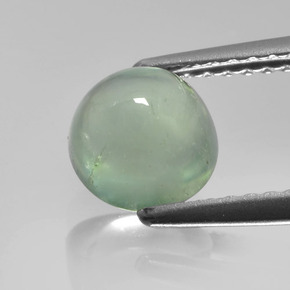 1.6ct Round Cabochon Green Prehnite for sale thumb image of 1.6ct Round Cabochon Green Prehnite (ID: 459008)