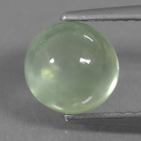 1.8ct Round Cabochon Green Prehnite Gem for sale 1.8ct Round Cabochon Green Prehnite Gem (ID: 459264)
