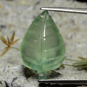 Verde terroso Prehnite Gema - 8.8ct Leaf de fantasÃa tallada (ID: 475340)