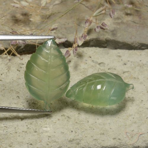 17.47ctw Natural Warm Green Prehnite, Flower Cut, Translucent