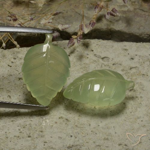 14.13ctw Natural Pale Pear Green Prehnite, Flower Cut, Translucent