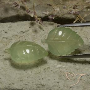 14.13 ctw Green Prehnite Stones, Natural Prehnite in Fantasy Carved Leaf Shape for Sale