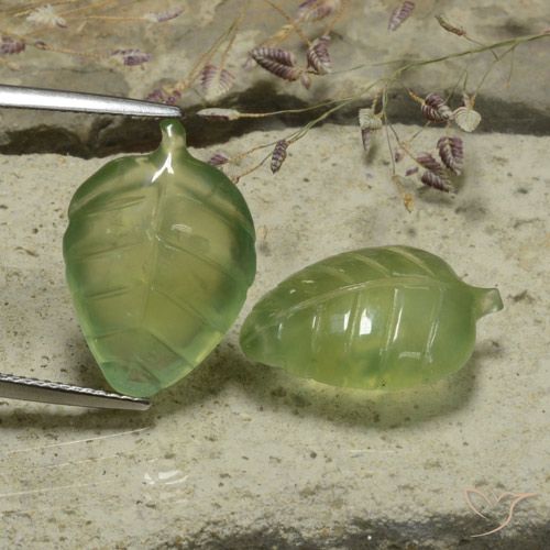 20.03ctw Natural Warm Green Prehnite, Flower Cut, Translucent