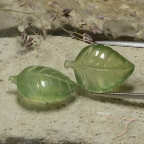 17.57 ctw Green Prehnite Stones, Natural Prehnite in Fantasy Carved Leaf Shape for Sale