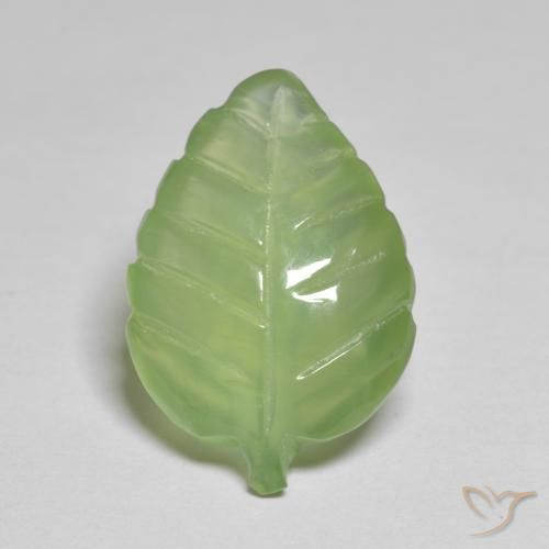 Vert moyen Prehnite gemme - 8.1ct Feuille gravée (ID: 577704)