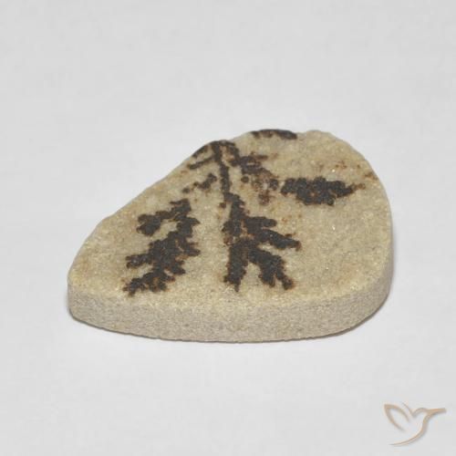 Psilomelane Dendrite Gemstone in 21.5 x 16.2 mm Size for Sale, Psilomelane Dendrite Stone in Multicolor Color