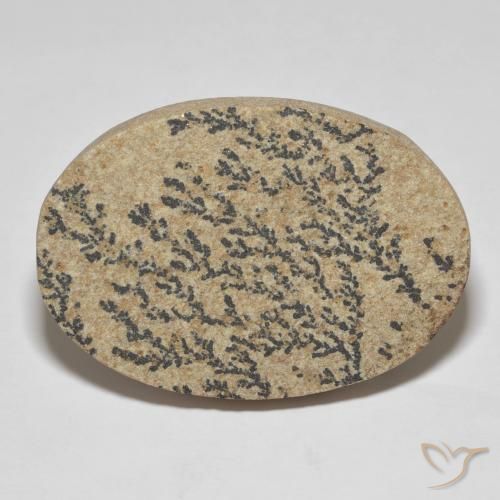 Dendrita de psilomelana ovalada de 46,04 ct, 38,3 x 26,9 mm de México, Photo A