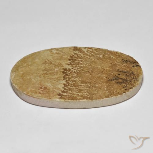 Psilomelane Dendrite Gemstone in 57.9 x 34.5 mm Size for Sale, Psilomelane Dendrite Stone in Multicolor Color