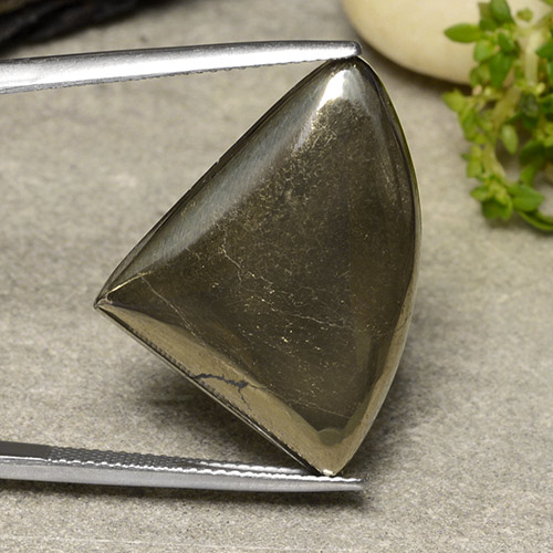 Dorado Pirita Gema - 26.8ct Cabujón aleta de tiburón (ID: 486802)