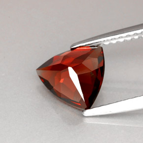 Pyrope Garnet Gemstone in 7.9 x 7.7 mm Size for Sale, Pyrope Garnet Stone in Deep Red Color