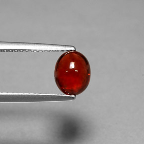 Pyrope Garnet Gemstone in 7.2 x 5.8 mm Size for Sale, Pyrope Garnet Stone in Red Color