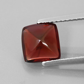 1.95 ct Red Pyrope Garnet Gemstone, Pyrope Garnet Gem in Square Cabochon Shape for Sale.