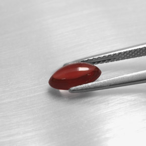 Pyrope Garnet Gemstone in 8.3 x 4.7 mm Size for Sale, Pyrope Garnet Stone in Red Color