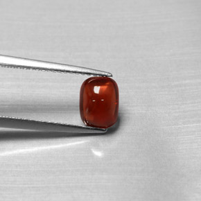 1.47 ct Red Pyrope Garnet Gemstone, Pyrope Garnet Gem in Cushion Cabochon Shape for Sale.