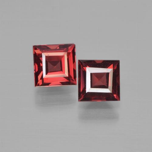 Par de Granate Piropo Cuadrada a juego de 5,1 x 5mm - Peso 1,61 ct en total / promedio. 0,81 ct cada uno, piedra preciosa natural No tratado, color Rojo oscuro con claridad VS, dureza Mohs 6.5 - 7.5 Adecuado para joyas de uso diario, Photo A