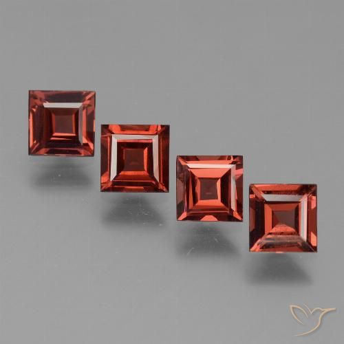 4 Stück quadratischer roter Pyrop-Granat Set aus Mosambik - Gewicht 2,71 ct total / Durchschn. je 0,68 ct, Größe 5 x 4,9mm, Farbe: Scharlachrot, Mohs-Härte 6,5 - 7,5 Geeignet für den täglichen Gebrauch im Schmuck, Photo A