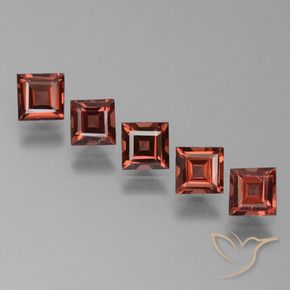 2.86 ctw Red Pyrope Garnet Stones, Natural Pyrope Garnet in Square Step-Cut Shape for Sale