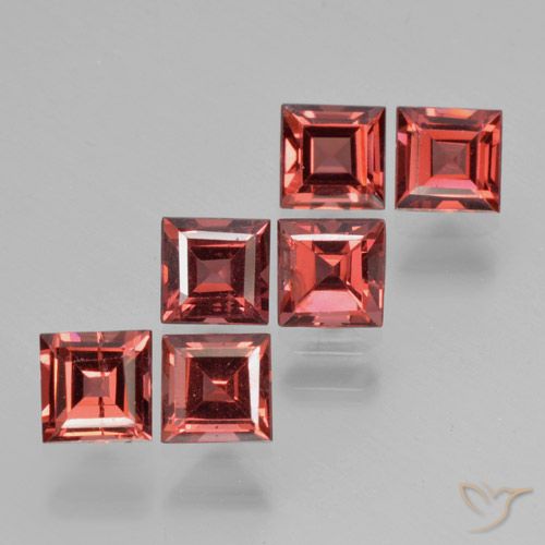 Set aus 6 Stück quadratischer Pyrop-Granat in roter Farbe aus Mosambik - Größe 4,1 x 4mm, Gewicht 2,88 ct gesamt / Durchschn. je 0,48 ct, Farbe: Tiefrot, Mohs-Härte 6,5 - 7,5 Geeignet für den täglichen Gebrauch im Schmuck, Photo A