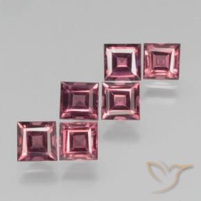 2.78 ctw Red Pyrope Garnet Stones, Natural Pyrope Garnet in Square Step-Cut Shape for Sale