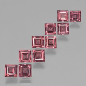 3.96 ctw Red Pyrope Garnet Gemstones, Pyrope Garnet Gems in Square Step-Cut Shape for Sale.