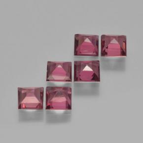 Pyrope Garnet Gemstones in 3.8 x 3.7 mm Size for Sale, Pyrope Garnet Stones in Deep Red Color