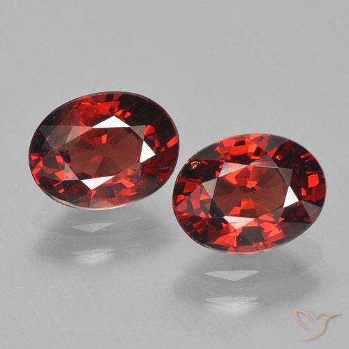 Rosso scuro Granato piropo Gem - 1.6ct Ovale sfaccettato (ID: 465745)
