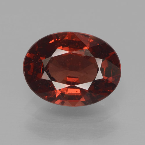 Deep Red Pyrope Garnet Gem - 1.6ct Oval Facet (ID: 466045)