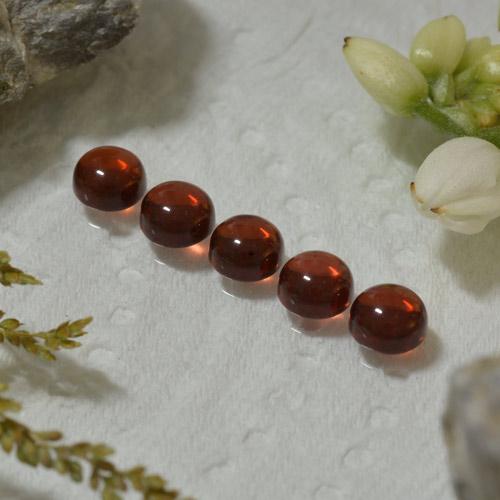 Medium Red Pyrope Garnet Gem - 0.5ct Round Cabochon (ID: 467295)