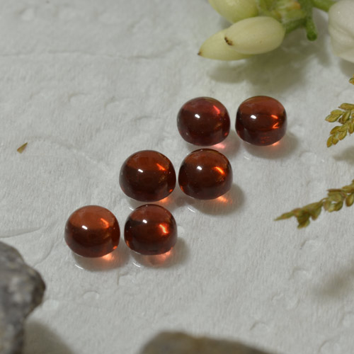 Merlot Red Pyrope Garnet Gem - 0.5ct Round Cabochon (ID: 467300)