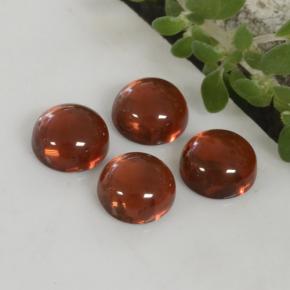 1.66 ctw Red Pyrope Garnet Stones, Natural Pyrope Garnet in Round Cabochon Shape for Sale