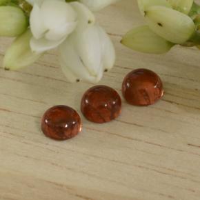 1.29 ctw Red Pyrope Garnet Gemstones, Pyrope Garnet Gems in Round Cabochon Shape for Sale.