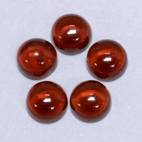2.35 ctw Red Pyrope Garnet Gemstones, Pyrope Garnet Gems in Round Cabochon Shape for Sale.