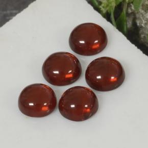 Medium Red Pyrope Garnet Gem - 0.4ct Round Cabochon (ID: 467465)