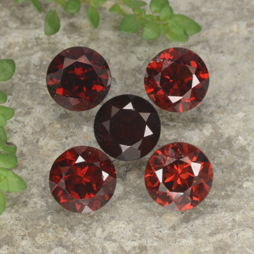 Blutrot Pyrop-Granat Edelstein - 1ct Rund Facettenschliff (ID: 477953)