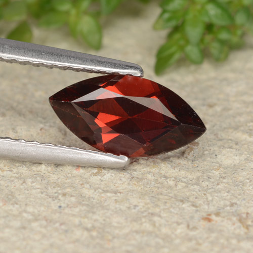 Rojo oscuro Granate Piropo Gema - 1.3ct Forma marquesa (ID: 478924)