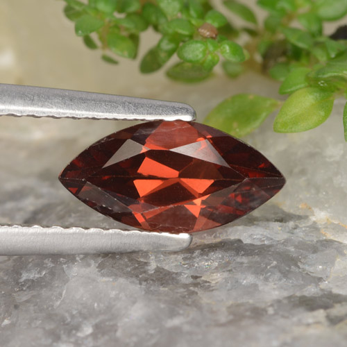 1.2ct Marquise Facet Red Pyrope Garnet Gem for sale 1.2ct Marquise Facet Red Pyrope Garnet Gem (ID: 478933)