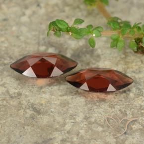 Pyrope Garnet Gemstones in 10.2 x 5 mm Size for Sale, Pyrope Garnet Stones in Currant Red Color