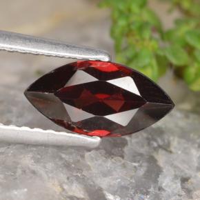 1.3ct Marquise Facet Red Pyrope Garnet for sale thumb image of 1.3ct Marquise Facet Red Pyrope Garnet (ID: 479237)