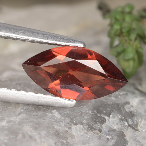 Темно-красный Гранат Пироп Камень - 1.1ct Фасетная Маркиза (ID: 479238)