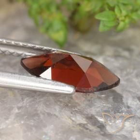 Pyrope Garnet Gemstone in 10.1 x 5.2 mm Size for Sale, Pyrope Garnet Stone in Dark Red Color