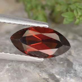1.4ct Marquise Facet Red Pyrope Garnet Gem for sale 1.4ct Marquise Facet Red Pyrope Garnet Gem (ID: 479244)