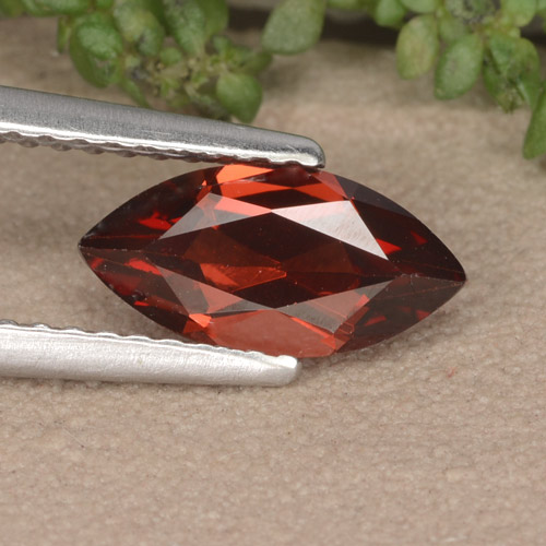Merlot Red Pyrop-Granat Edelstein - 1.2ct Marquiseschliff (ID: 479305)
